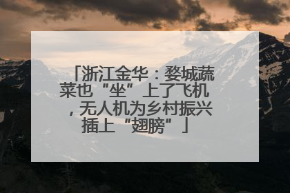 浙江金华：婺城蔬菜也“坐”上了飞机，无人机为乡村振兴插上“翅膀”