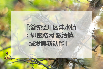 淄博经开区沣水镇：织密路网 激活镇域发展新动能