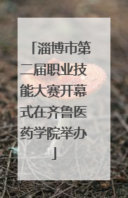 淄博市第二届职业技能大赛开幕式在齐鲁医药学院举办