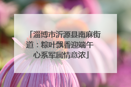 淄博市沂源县南麻街道：粽叶飘香迎端午 心系军属情意浓