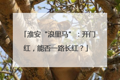 淮安“浪里马”：开门红，能否一路长红？
