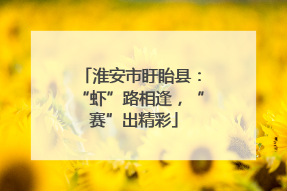 淮安市盱眙县：“虾”路相逢，“赛”出精彩