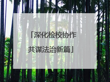 深化检校协作 共谋法治新篇