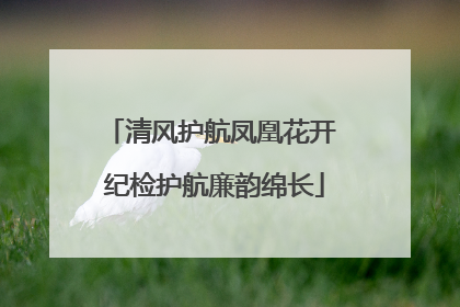 清风护航凤凰花开 纪检护航廉韵绵长