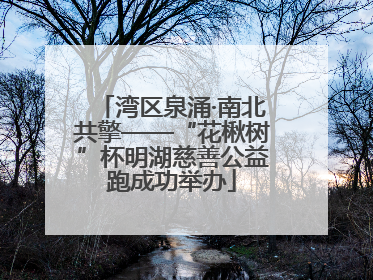 湾区泉涌·南北共擎——“花楸树”杯明湖慈善公益跑成功举办