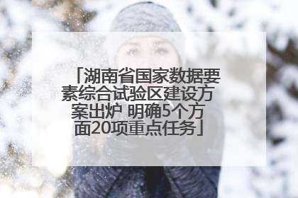 湖南省国家数据要素综合试验区建设方案出炉 明确5个方面20项重点任务