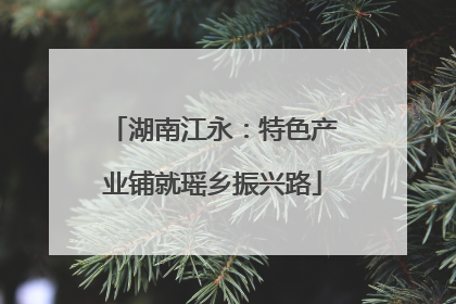 湖南江永：特色产业铺就瑶乡振兴路