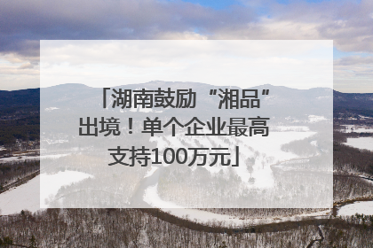 湖南鼓励“湘品”出境！单个企业最高支持100万元