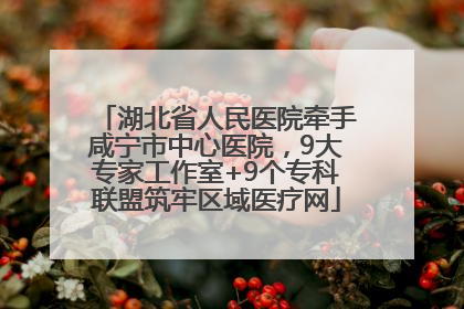 湖北省人民医院牵手咸宁市中心医院，9大专家工作室+9个专科联盟筑牢区域医疗网