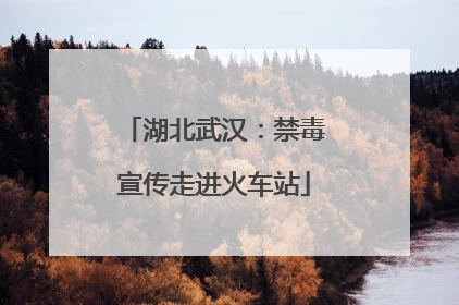 湖北武汉：禁毒宣传走进火车站