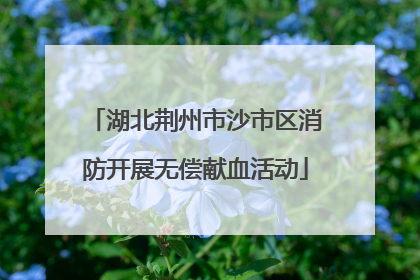 湖北荆州市沙市区消防开展无偿献血活动