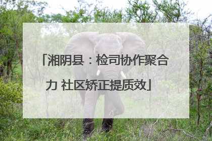 湘阴县：检司协作聚合力 社区矫正提质效
