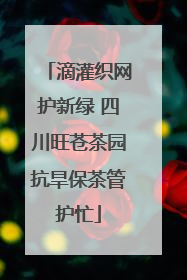 滴灌织网护新绿 四川旺苍茶园抗旱保茶管护忙