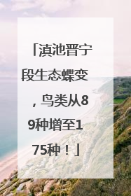 滇池晋宁段生态蝶变，鸟类从89种增至175种！