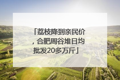 荔枝降到亲民价，合肥周谷堆日均批发20多万斤