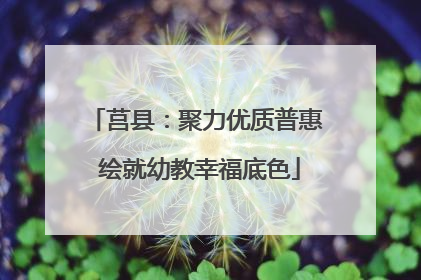 莒县：聚力优质普惠 绘就幼教幸福底色