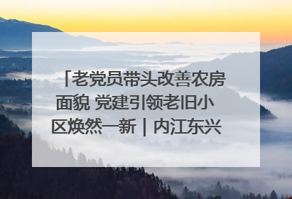 老党员带头改善农房面貌 党建引领老旧小区焕然一新｜内江东兴“红”在哪？④