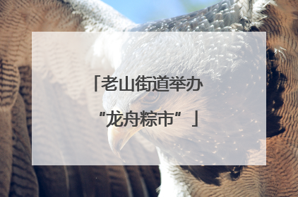 老山街道举办“龙舟粽市”