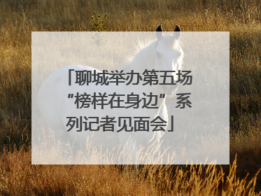 聊城举办第五场“榜样在身边”系列记者见面会