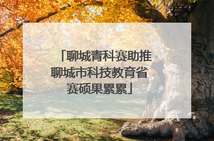 聊城青科赛助推聊城市科技教育省赛硕果累累