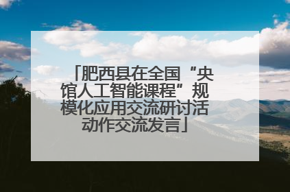 肥西县在全国“央馆人工智能课程”规模化应用交流研讨活动作交流发言