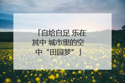 自给自足 乐在其中 城市里的空中“田园梦”