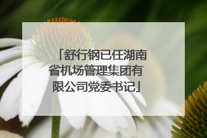 舒行钢已任湖南省机场管理集团有限公司党委书记