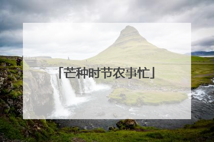 芒种时节农事忙