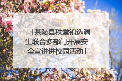 茶陵县秩堂镇选调生联合多部门开展安全宣讲进校园活动