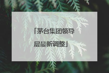 茅台集团领导层最新调整