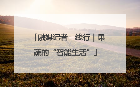融媒记者一线行｜果蔬的“智能生活”