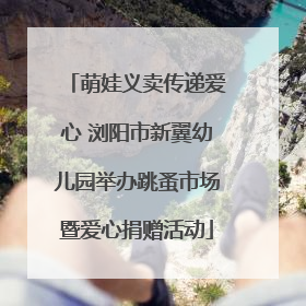 萌娃义卖传递爱心 浏阳市新翼幼儿园举办跳蚤市场暨爱心捐赠活动