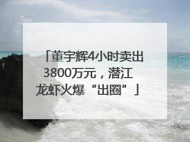 董宇辉4小时卖出3800万元，潜江龙虾火爆“出圈”