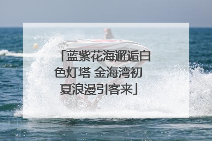 蓝紫花海邂逅白色灯塔 金海湾初夏浪漫引客来