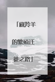 藏羚羊的繁殖迁徙之路
