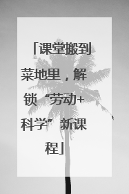 课堂搬到菜地里，解锁“劳动+科学”新课程