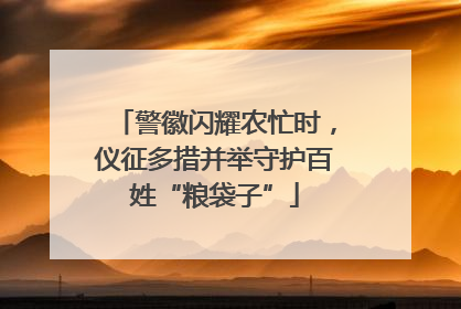 警徽闪耀农忙时，仪征多措并举守护百姓“粮袋子”