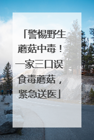 警惕野生蘑菇中毒！一家三口误食毒蘑菇，紧急送医