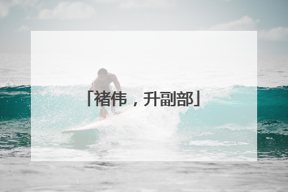 褚伟，升副部