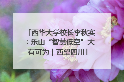 西华大学校长李秋实：乐山“智慧低空”大有可为｜西望四川