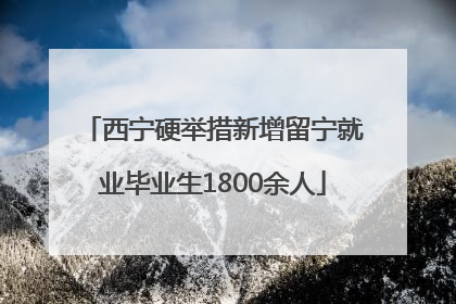 西宁硬举措新增留宁就业毕业生1800余人