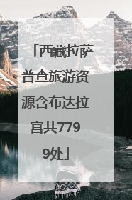 西藏拉萨普查旅游资源含布达拉宫共7799处