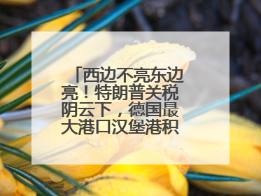 西边不亮东边亮！特朗普关税阴云下，德国最大港口汉堡港积极“向东看”