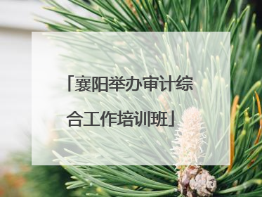 襄阳举办审计综合工作培训班