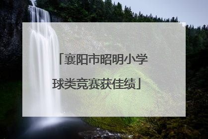 襄阳市昭明小学球类竞赛获佳绩