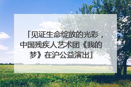 见证生命绽放的光彩，中国残疾人艺术团《我的梦》在沪公益演出