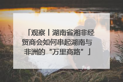 观察丨湖南省湘非经贸商会如何串起湖南与非洲的“万里商路”
