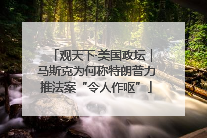 观天下·美国政坛｜马斯克为何称特朗普力推法案“令人作呕”