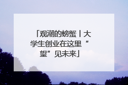 观潮的螃蟹丨大学生创业在这里“望”见未来