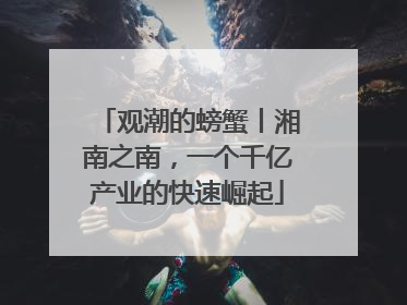 观潮的螃蟹丨湘南之南，一个千亿产业的快速崛起